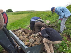 Arbeiten auf dem Hasunger Berg (Foto: Alexander von Rüden)